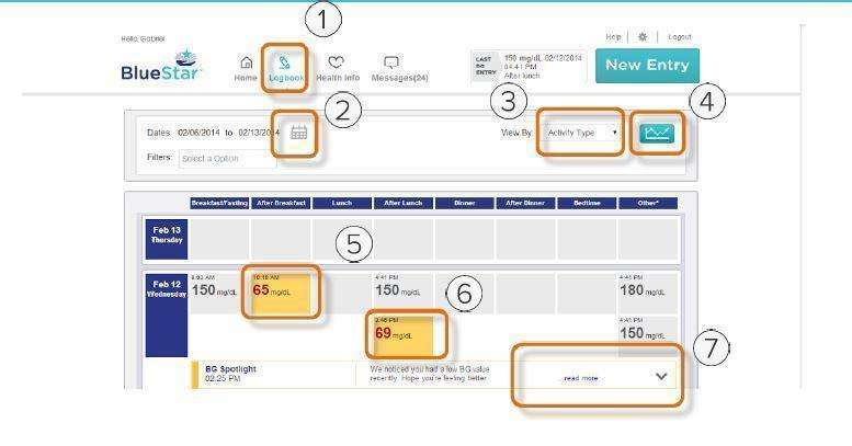 WellDoc BlueStar or WellDoc DiabetesManager System and DiabetesManager Rx System